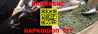 дмт Гудермес