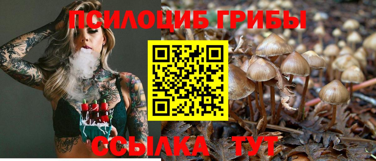 Галлюциногенные грибы GOLDEN TEACHER  Вход с VPN  Нальчик  где можно купить наркотик  Галлюциногенные грибы Psilocybine cubensis 