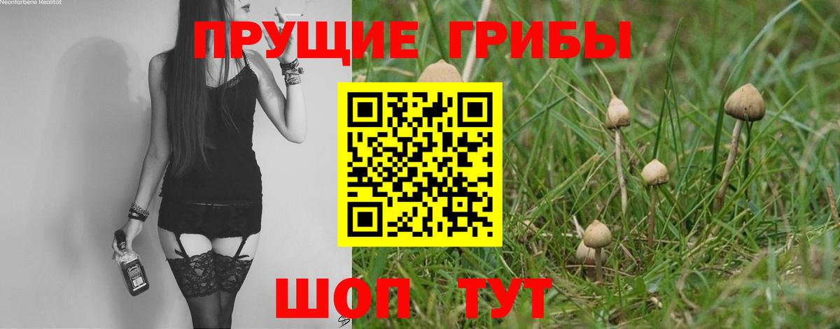 Псилоцибиновые грибы MAGIC MUSHROOMS Нальчик
